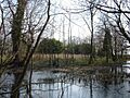 Hulme Hall Moat