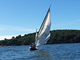 Isla de Cortegada Vela Latina