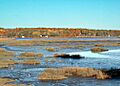 Kennebec at Winnegance