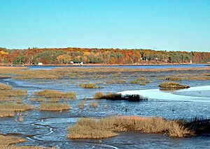 Kennebec at Winnegance