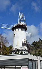 Launceston Penny Royal Windmill.JPG