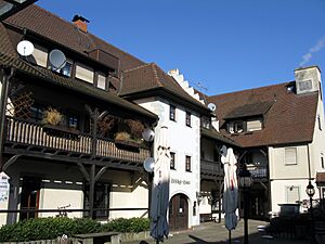 Litschgi-Haus in Bad Krozingen 4