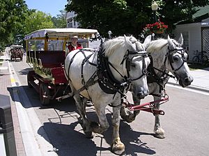 MackinacIsland Carriage