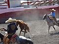 Mexican charro forefooting on horseback