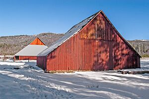 Meyer Barns