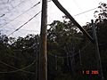 Milson Island High Ropes