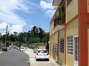 Maga Street in Morovis Norte