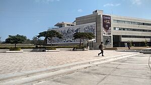 Mural Colorido - UNMSM