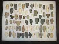 Native American Projectile Points York County Pennsylvania 2014