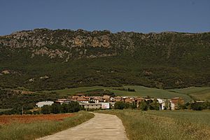 View of Navas de Bureba, 2010