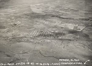 New Mexico - Deming - NARA - 68144809 (cropped)