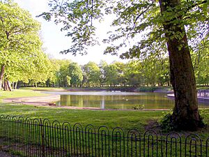 Newsham Park 006