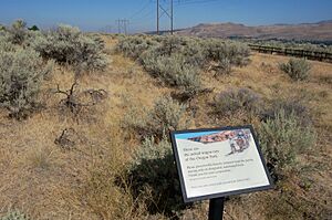 Oregon Trail near Boise