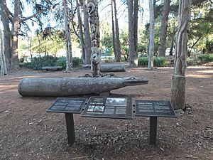 Papua New Guinea Sculpture Garden at Stanford University, central area 5