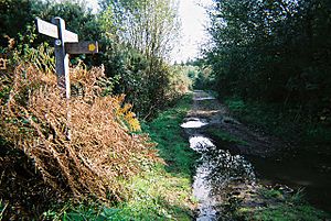Path junction on the New Lipchis Way - geograph.org.uk - 1009622.jpg