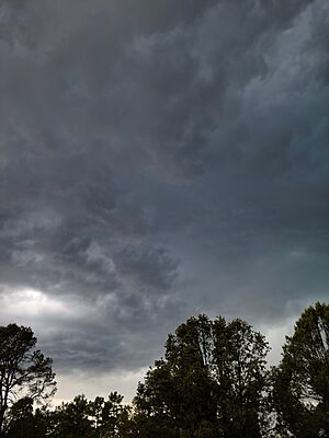 Payson, AZ Summer Storm