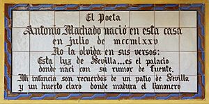 Placa Machado