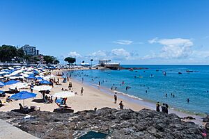 Praia Farol da Barra Salvador 2017-12322
