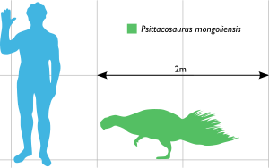 Psittacosaurus Scale