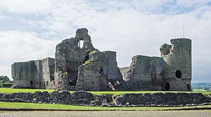 Rhuddlan Castle - from the north