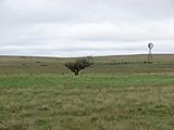 Rita Blanca National Grassland