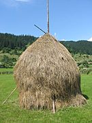 Romanian hay