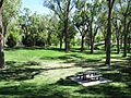 Roosevelt Park, Albuquerque NM