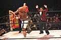 Sapp Beast Backbreaker
