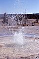 SawmillGeyser-Keller1964