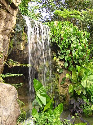 Singapore Botanic Gardens waterfall