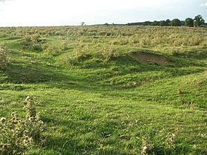 Snelshall Priory (site) - geograph.org.uk - 216962