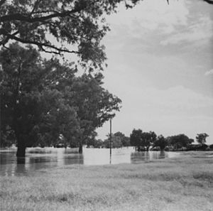 StateLibQld 1 120612 Flood in the Barcoo River, Blackall district, February 1941