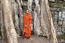 Ta Prohm Monk - Siem Reap