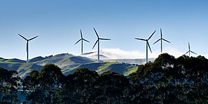 Te Apiti Wind Farm viewed from Ashhurst Domain