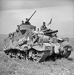 The British Army in Tunisia 1943 NA2313