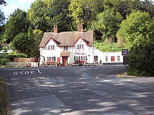 The Old Inn, Allington - geograph.org.uk - 560665.jpg