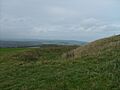 The Trundle 3