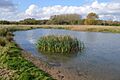 Trumpington Meadows east 10