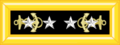 US Admiral of Navy shoulderboard