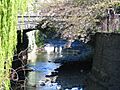 Union Street Bridge and Leith Stream, Dunedin, NZ