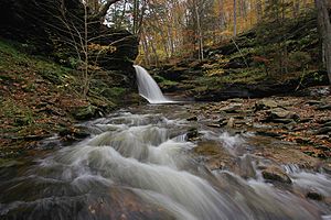 Waterfall on Heberly Run