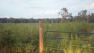 Wimberly Plantation, Twiggs County, GA, US