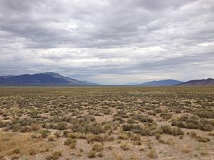 2014-08-11 13 30 52 View north up Newark Valley from U.S. Route 50 about 8.1 miles east of the Eureka County line in White Pine County, Nevada