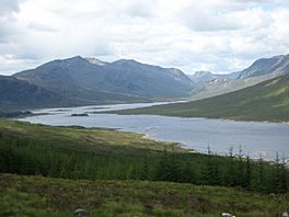 A scene overlooking forestry lands with Loch Loyne in the background - geograph.org.uk - 1352637.jpg