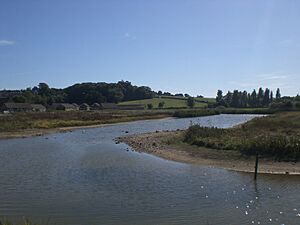 Alan Hersey Nature Reserve central streams