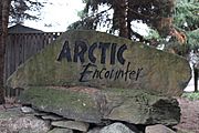 Arctic Encounter Exhibit.jpg