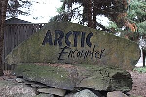 Arctic Encounter Exhibit