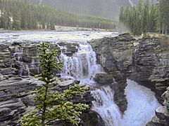 Athabasca Falls Fall 2006