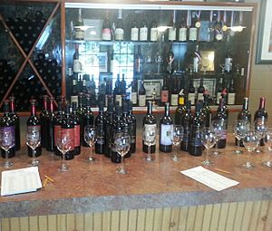 Balic Winery Tasting Room