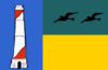 Flag of El Limón